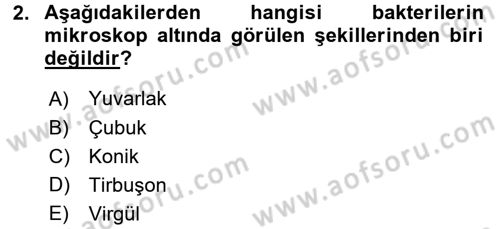 Gıda Bilimi ve Teknolojisi Dersi 2017 - 2018 Yılı (Final) Dönem Sonu Sınav Soruları 2. Soru