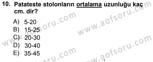 Tarla Bitkileri 2 Dersi 2012 - 2013 Yılı (Vize) Ara Sınav Soruları 10. Soru