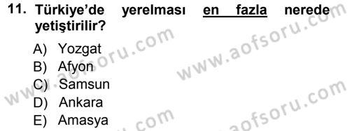 Tarla Bitkileri 2 Dersi 2012 - 2013 Yılı (Vize) Ara Sınav Soruları 11. Soru