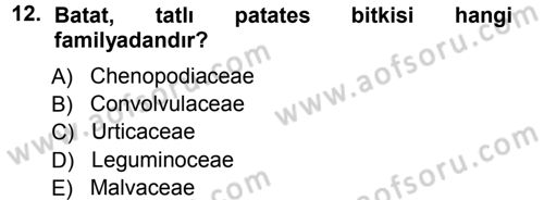 Tarla Bitkileri 2 Dersi 2012 - 2013 Yılı (Vize) Ara Sınav Soruları 12. Soru