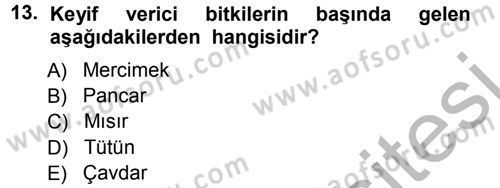 Tarla Bitkileri 2 Dersi 2012 - 2013 Yılı (Vize) Ara Sınav Soruları 13. Soru
