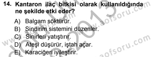 Tarla Bitkileri 2 Dersi 2012 - 2013 Yılı (Vize) Ara Sınav Soruları 14. Soru