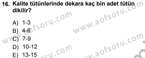 Tarla Bitkileri 2 Dersi 2012 - 2013 Yılı (Vize) Ara Sınav Soruları 16. Soru