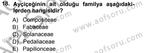 Tarla Bitkileri 2 Dersi 2012 - 2013 Yılı (Vize) Ara Sınav Soruları 18. Soru