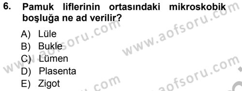 Tarla Bitkileri 2 Dersi 2012 - 2013 Yılı (Vize) Ara Sınav Soruları 6. Soru
