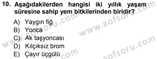 Tarla Bitkileri 2 Dersi 2012 - 2013 Yılı (Final) Dönem Sonu Sınav Soruları 10. Soru
