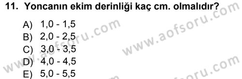 Tarla Bitkileri 2 Dersi 2012 - 2013 Yılı (Final) Dönem Sonu Sınav Soruları 11. Soru