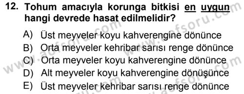 Tarla Bitkileri 2 Dersi 2012 - 2013 Yılı (Final) Dönem Sonu Sınav Soruları 12. Soru