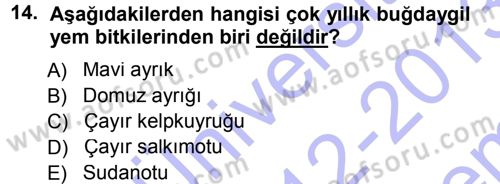 Tarla Bitkileri 2 Dersi 2012 - 2013 Yılı (Final) Dönem Sonu Sınav Soruları 14. Soru