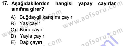 Tarla Bitkileri 2 Dersi 2012 - 2013 Yılı (Final) Dönem Sonu Sınav Soruları 17. Soru