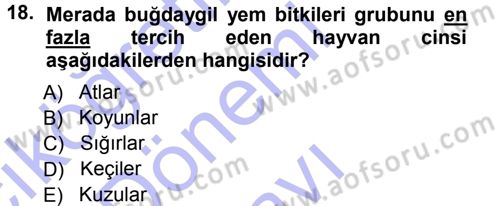 Tarla Bitkileri 2 Dersi 2012 - 2013 Yılı (Final) Dönem Sonu Sınav Soruları 18. Soru