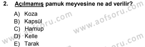 Tarla Bitkileri 2 Dersi 2012 - 2013 Yılı (Final) Dönem Sonu Sınav Soruları 2. Soru