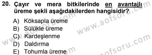 Tarla Bitkileri 2 Dersi 2012 - 2013 Yılı (Final) Dönem Sonu Sınav Soruları 20. Soru