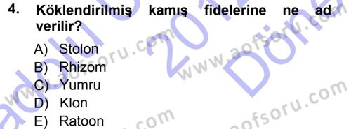 Tarla Bitkileri 2 Dersi 2012 - 2013 Yılı (Final) Dönem Sonu Sınav Soruları 4. Soru