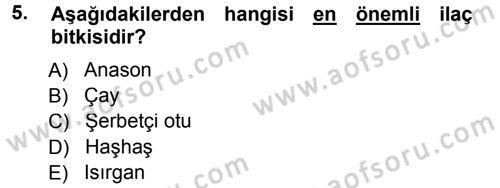 Tarla Bitkileri 2 Dersi 2012 - 2013 Yılı (Final) Dönem Sonu Sınav Soruları 5. Soru