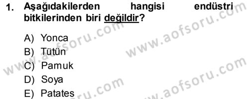 Tarla Bitkileri 2 Dersi 2013 - 2014 Yılı (Vize) Ara Sınav Soruları 1. Soru