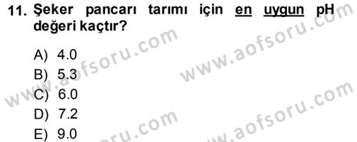 Tarla Bitkileri 2 Dersi 2013 - 2014 Yılı (Vize) Ara Sınav Soruları 11. Soru