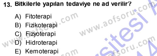 Tarla Bitkileri 2 Dersi 2013 - 2014 Yılı (Vize) Ara Sınav Soruları 13. Soru