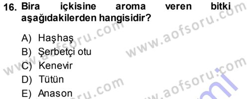 Tarla Bitkileri 2 Dersi 2013 - 2014 Yılı (Vize) Ara Sınav Soruları 16. Soru