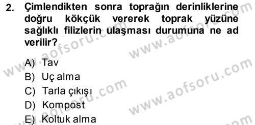 Tarla Bitkileri 2 Dersi 2013 - 2014 Yılı (Vize) Ara Sınav Soruları 2. Soru