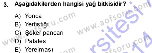 Tarla Bitkileri 2 Dersi 2013 - 2014 Yılı (Vize) Ara Sınav Soruları 3. Soru