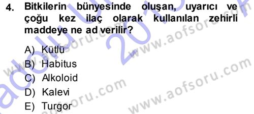 Tarla Bitkileri 2 Dersi 2013 - 2014 Yılı (Vize) Ara Sınav Soruları 4. Soru