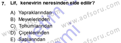 Tarla Bitkileri 2 Dersi 2013 - 2014 Yılı (Vize) Ara Sınav Soruları 7. Soru