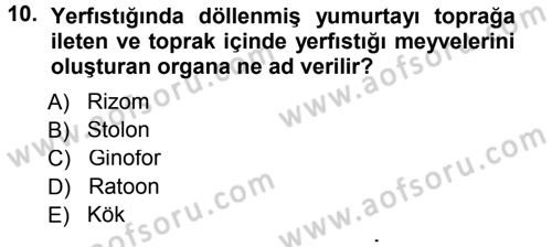Tarla Bitkileri 2 Dersi 2013 - 2014 Yılı Tek Ders Sınav Soruları 10. Soru