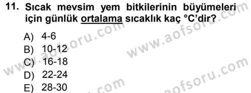 Tarla Bitkileri 2 Dersi 2013 - 2014 Yılı Tek Ders Sınav Soruları 11. Soru