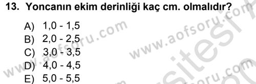 Tarla Bitkileri 2 Dersi 2013 - 2014 Yılı Tek Ders Sınav Soruları 13. Soru