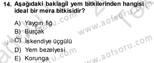 Tarla Bitkileri 2 Dersi 2013 - 2014 Yılı Tek Ders Sınav Soruları 14. Soru