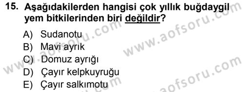 Tarla Bitkileri 2 Dersi 2013 - 2014 Yılı Tek Ders Sınav Soruları 15. Soru