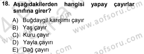 Tarla Bitkileri 2 Dersi 2013 - 2014 Yılı Tek Ders Sınav Soruları 18. Soru