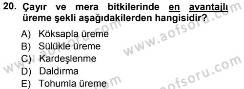 Tarla Bitkileri 2 Dersi 2013 - 2014 Yılı Tek Ders Sınav Soruları 20. Soru