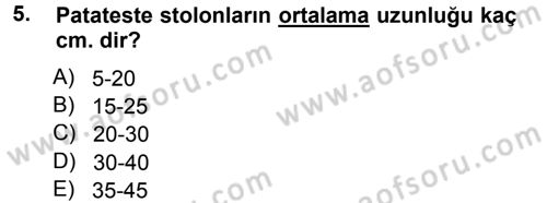 Tarla Bitkileri 2 Dersi 2013 - 2014 Yılı Tek Ders Sınav Soruları 5. Soru