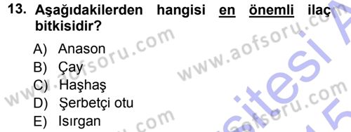 Tarla Bitkileri 2 Dersi 2014 - 2015 Yılı (Vize) Ara Sınav Soruları 13. Soru