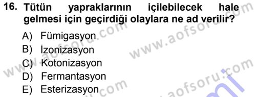 Tarla Bitkileri 2 Dersi 2014 - 2015 Yılı (Vize) Ara Sınav Soruları 16. Soru