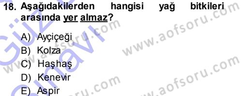Tarla Bitkileri 2 Dersi 2014 - 2015 Yılı (Vize) Ara Sınav Soruları 18. Soru