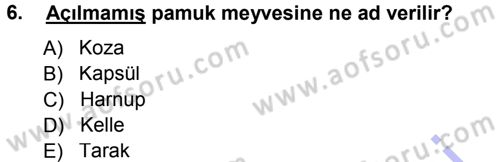 Tarla Bitkileri 2 Dersi 2014 - 2015 Yılı (Vize) Ara Sınav Soruları 6. Soru