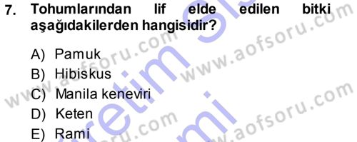 Tarla Bitkileri 2 Dersi 2014 - 2015 Yılı (Vize) Ara Sınav Soruları 7. Soru