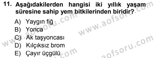 Tarla Bitkileri 2 Dersi 2014 - 2015 Yılı (Final) Dönem Sonu Sınav Soruları 11. Soru