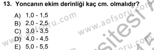 Tarla Bitkileri 2 Dersi 2014 - 2015 Yılı (Final) Dönem Sonu Sınav Soruları 13. Soru