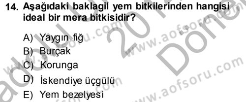 Tarla Bitkileri 2 Dersi 2014 - 2015 Yılı (Final) Dönem Sonu Sınav Soruları 14. Soru