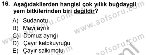 Tarla Bitkileri 2 Dersi 2014 - 2015 Yılı (Final) Dönem Sonu Sınav Soruları 16. Soru