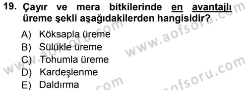 Tarla Bitkileri 2 Dersi 2014 - 2015 Yılı (Final) Dönem Sonu Sınav Soruları 19. Soru