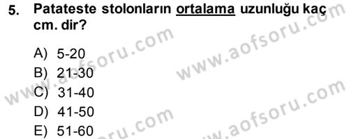 Tarla Bitkileri 2 Dersi 2014 - 2015 Yılı (Final) Dönem Sonu Sınav Soruları 5. Soru