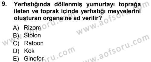 Tarla Bitkileri 2 Dersi 2014 - 2015 Yılı (Final) Dönem Sonu Sınav Soruları 9. Soru