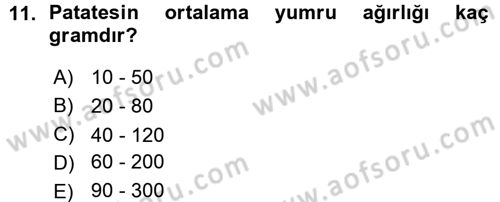 Tarla Bitkileri 2 Dersi 2015 - 2016 Yılı (Vize) Ara Sınav Soruları 11. Soru