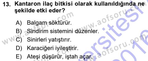 Tarla Bitkileri 2 Dersi 2015 - 2016 Yılı (Vize) Ara Sınav Soruları 13. Soru