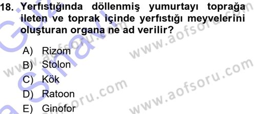 Tarla Bitkileri 2 Dersi 2015 - 2016 Yılı (Vize) Ara Sınav Soruları 18. Soru